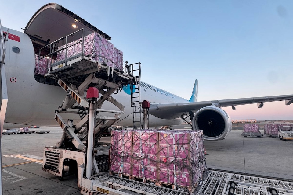 MNG Airbus A330 freighter source CharterDesk