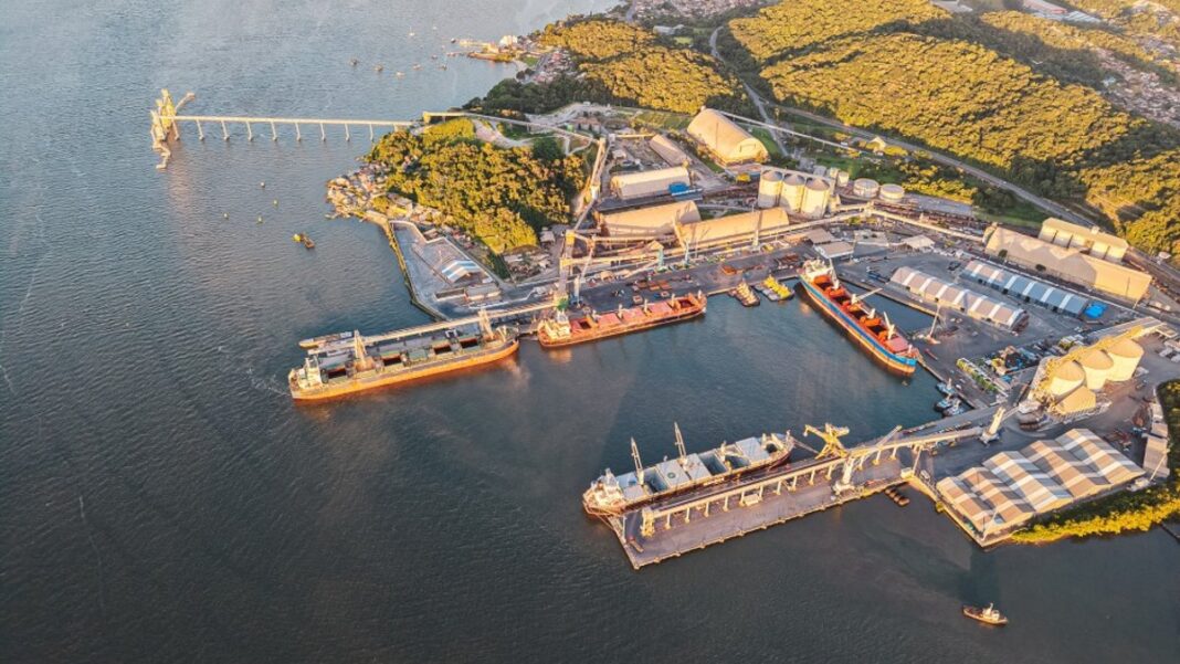 Port of São Francisco do Sul turns 71 years old with historic investments Port of São Francisco do Sul turns 71 years old with historic investments