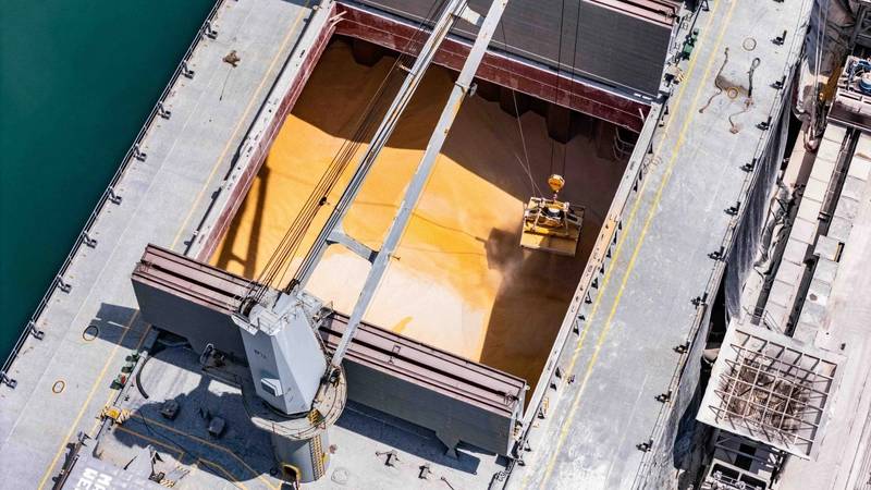 Russian Wheat Export Prices Soar Amidst Escalating Russian Wheat Export Prices Soar Amidst Escalating