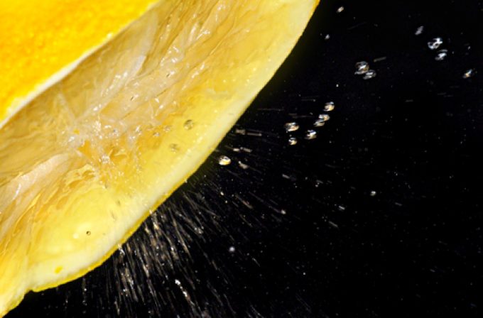 Supply chain disruption choking Southern African trade growth Lemon