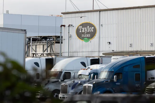 Taylor Farms lettuce didn’t contain parasite behind diarrhea outbreak, FDA says Taylor Farms lettuce didn’t contain parasite behind diarrhea outbreak, FDA says