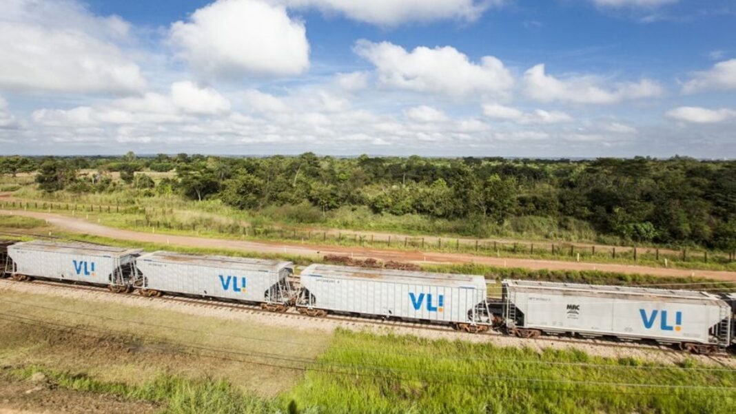 VLI records highest volume of grains and bran in history in the first half of the year

